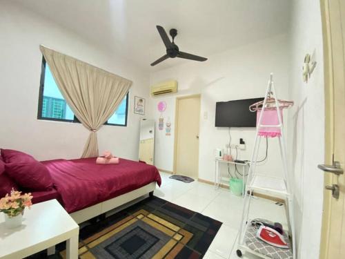 Seksyen 14 Apartamento | Alysa Homestay Vista Alam