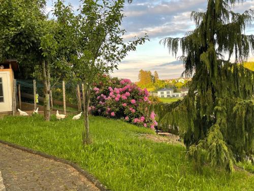 Attendorn Apartamento | Am Waldrand
