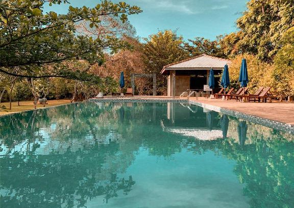 Dambulla Hotel | Amaara Forest Hotel Sigiriya