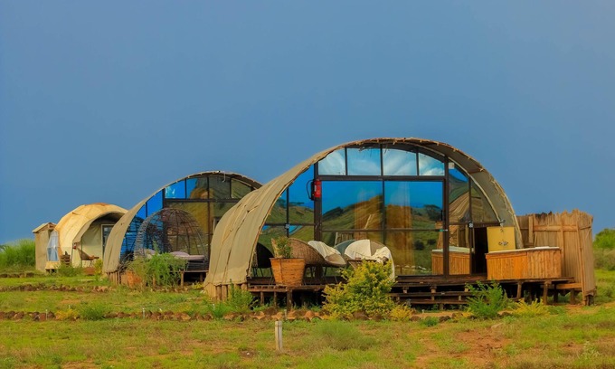 Amboseli Cabina | Amanya 2-Rooms Lioness Family