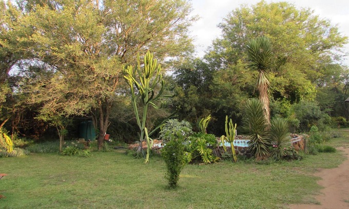 Thorny Bush Game Reserve Casa | Amanzimlotzi Riverside Bush Camp en Kruger Park, Limpopo
