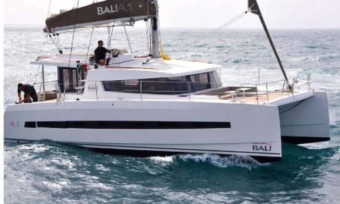 Key West Alquiler De Eote | Amazing 4 Bdrm, 4 Bath Catamaran - Purpus