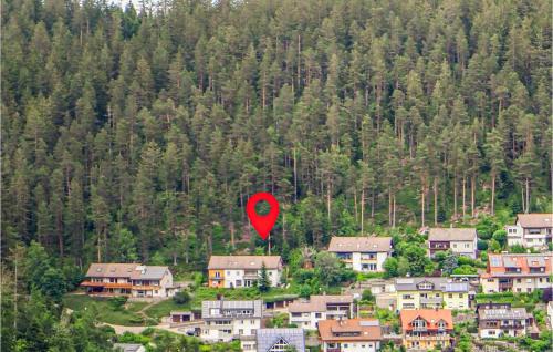 Schonach im Schwarzwald Apartamento | Amazing Apartment In Schonach Im Schwarzwal