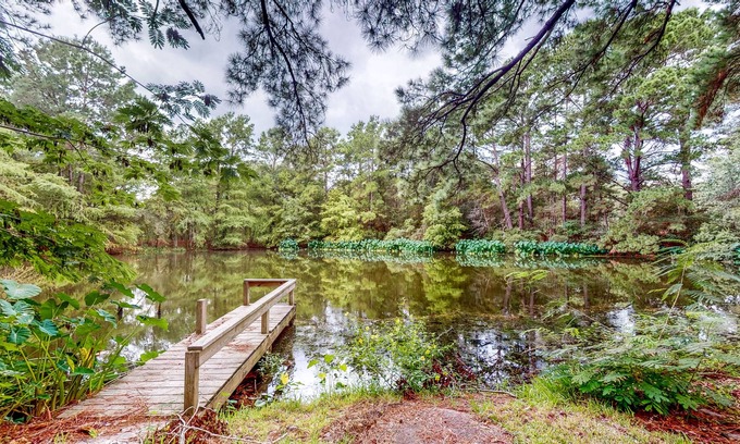 Bellville Casa | Amazing Home & Guest House on 14 Acres - Vineyards, Pond & Trails