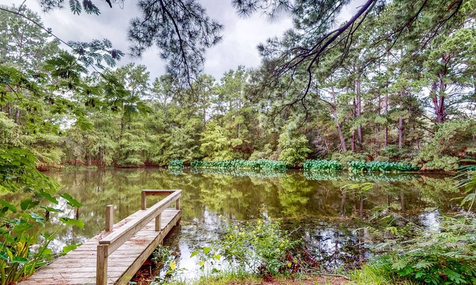 Bellville Casa | Amazing Home & Guest House on 14 Acres - Vineyards, Pond & Trails