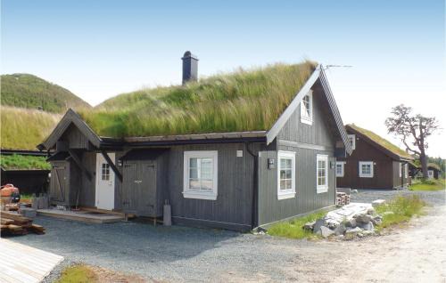 Rauland Casa | Amazing Home In Rauland With Wifi