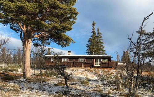 Al Municipality Casa | Amazing Home In Tunhovd With Sauna