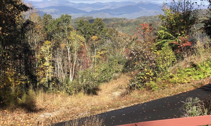 Pisgah Forest Casa | Amazing Mountain Views! Dog friendly, minutes to Pisgah Forest!