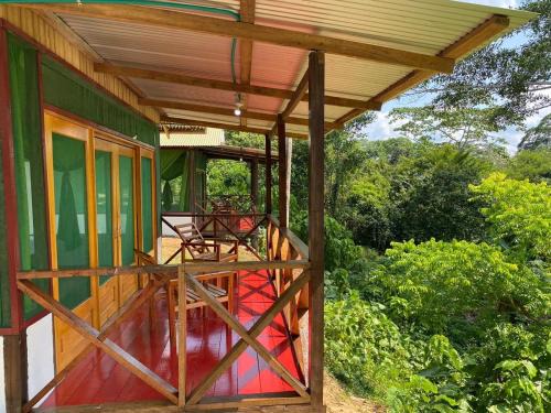 Leticia Hotel | Amazon Açaí Lodge