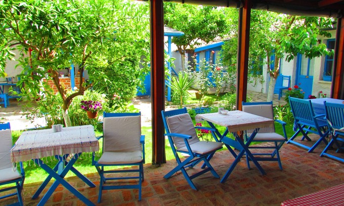 Selcuk Casa | Amazon Antique