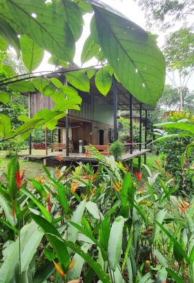 Leticia Cabina | Amazona Lodge