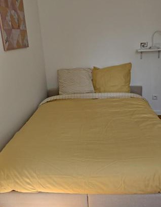 Front de Lac Casa | Amber room - 20 min to Paris