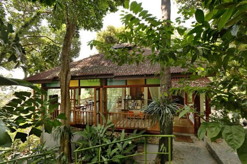Pantai Tengah Cabina | Ambong Rainforest Retreat