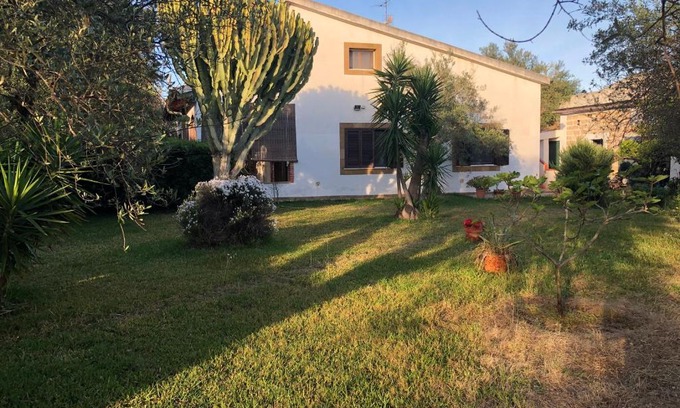 Augusta Casa | Amecasa Augusta