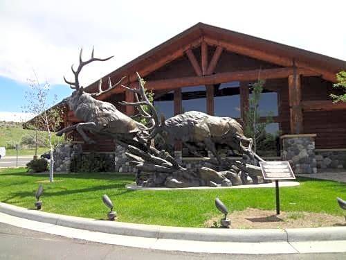 Cody Hotel | AmericInn by Wyndham Cody