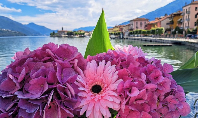 Gravedona Apartamento | Among the colors of Alto Lario