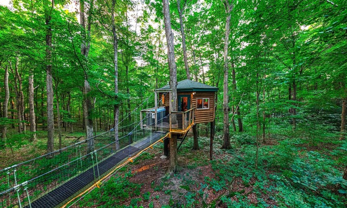 Logan Cabina | Among the Trees - The Nest