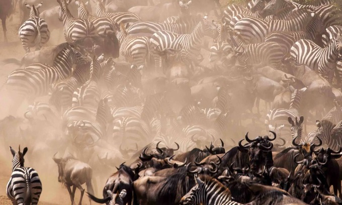 Narok Cabaña | An affordable way to visit Masai Mara, stay in our cottage and enjoy.