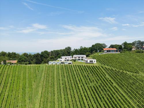Spiefeld Apartamento | An der Lage - Das Hideaway