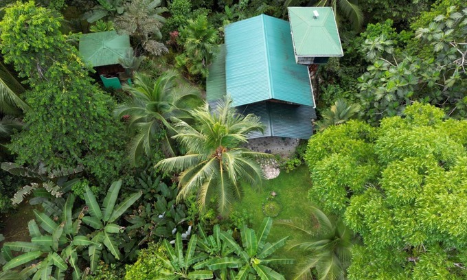 Dos Brazos Cabina | Comodidad y simpatía en el corazón de la jungla.
