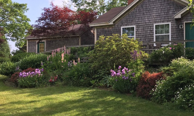 Camden Casa | Camden "Garden Cottage" - ¡Colorido en agosto, septiembre y octubre!