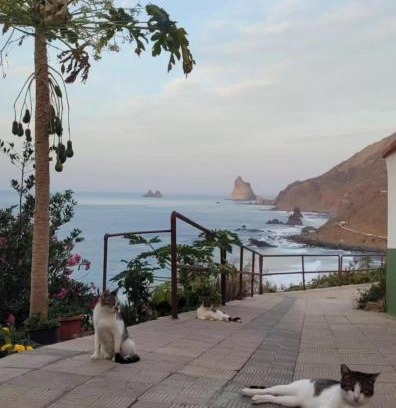 Santa Cruz de Tenerife Casa | Anaga Manolo Natural Beach House