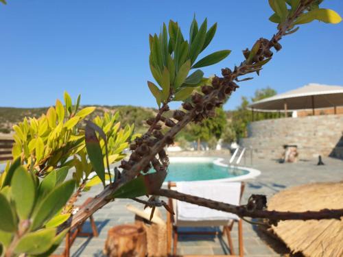Galissas Complejo | Anassa Cycladic Village