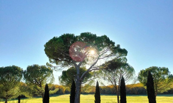 Colle di Val d'Elsa Casa | Antiguo pueblo: Historia y Naturaleza en el silencio del campo.