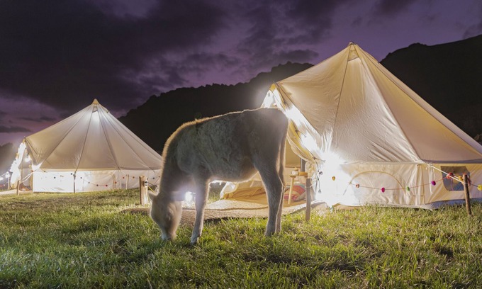 Pisac Cabina | Andean Glamping