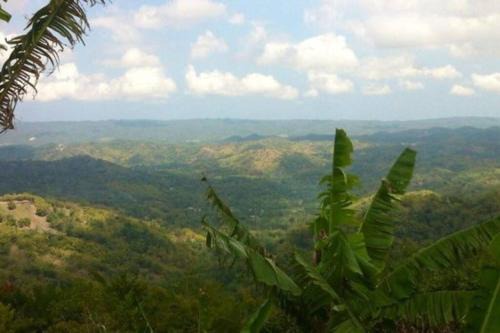 Montego Bay Casa | Andeve's tranquil beautiful home