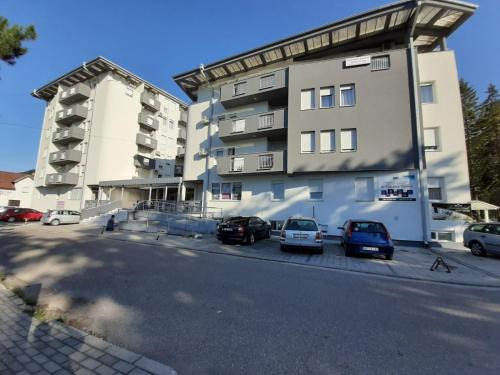 Banja Koviljaca Apartamento | Andora