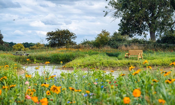 Arnold Cabaña | Andrus - Mayflower Meadow