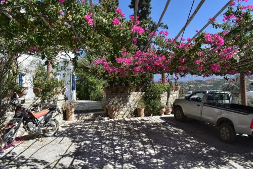 Kamilari Apartamento | ANEVOLEMA