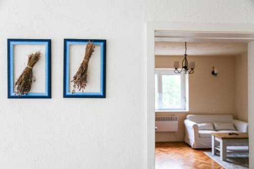 Tarcal Apartamento | Angelina Vendégház