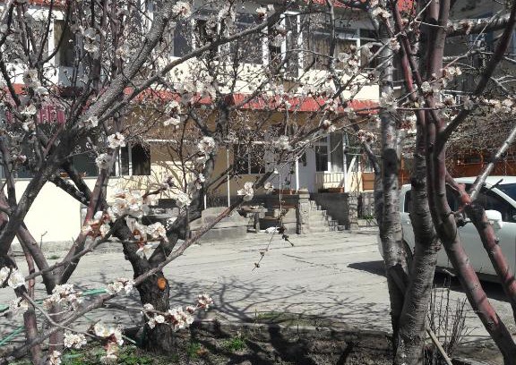 Syunik Province Hotel | Ani Hotel