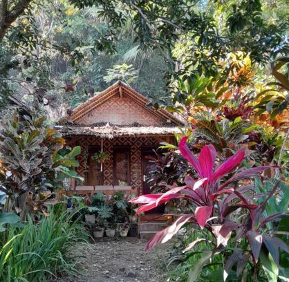 Katukaras Casa | anik homestay & dormy Batukaras