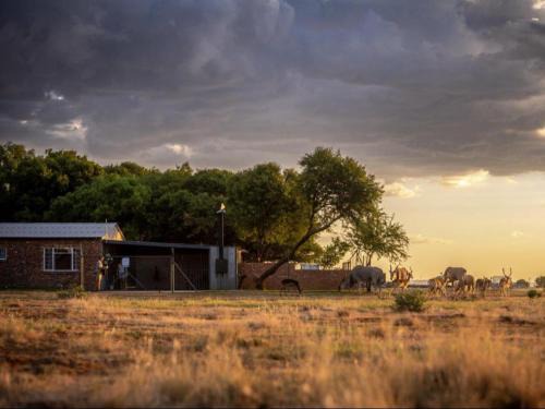 Bloemfontein Casa | Anna Africa Guest House