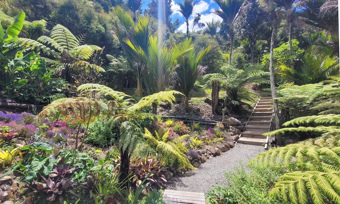 Whitianga Cama Y Desayuno | Annabells Bed and Breakfast