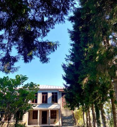 Samegrelo-Zemo Svaneti Casa | anno's house