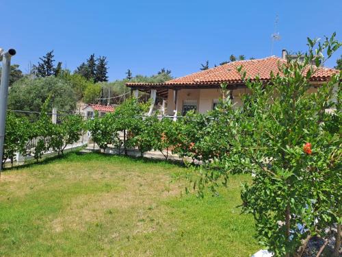 Agia Triada Casa | anthishouse