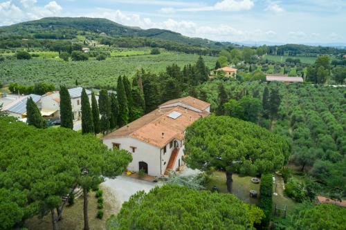 San Vincenzo Casa | Antichi Palmenti - Corbezzolo