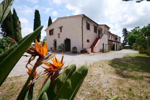 San Vincenzo Casa | Antichi Palmenti - Erica
