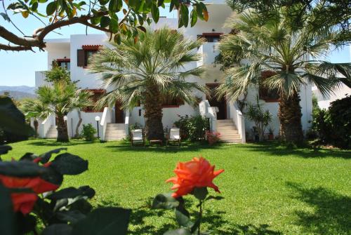 Milatos Beach Apartamento | Antigoni Apartments 'Olive Room'