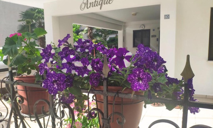 Olymbiaki Akti Apartamento | Antique The Hotel