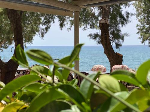 Agios Vasileios Hotel | Apanemia Rooms