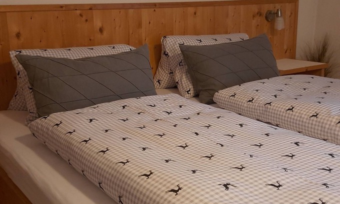 Ried im Zillertal Apartamento | APART KOPP - 1 APARTMENT 2 - 4 pers. Close to the ski area - HOCHZILLERTAL- central location