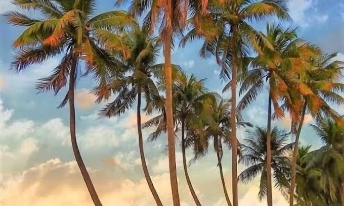 Joao Pessoa Apartamento | Apartamento Aconchegante na Orla do Cabo Branco