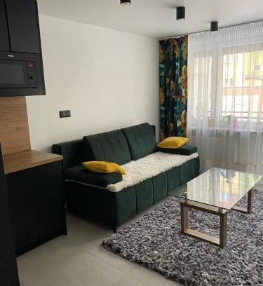 Biala Podlaska Apartamento | Apartament Żeromskiego2