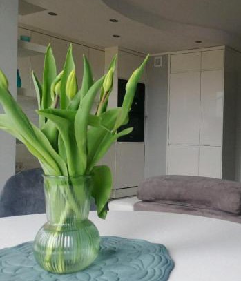 Olsztynek Apartamento | Apartament 35