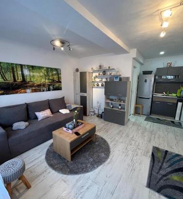 Sfantu Gheorghe Apartamento | Apartament Acasa Sf.Gheorghe